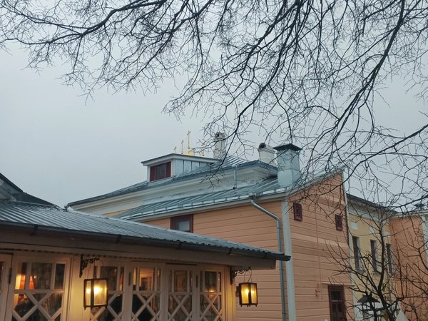 Коломна купеческая и сосисоши по рецепту 19 века - фото 3