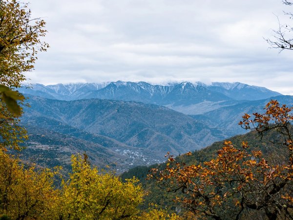 Вся Грузия от Телави до Батуми, Боржоми и Тбилиси: тур из Владикавказа - фото 2