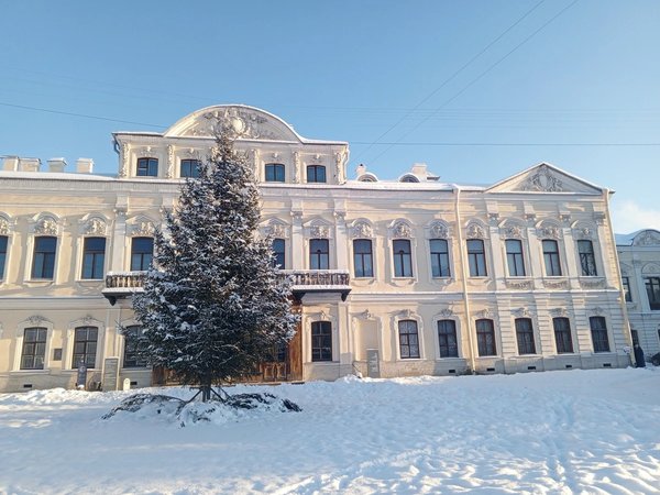 Фонтанный дом Шереметевых: три века истории - фото 1