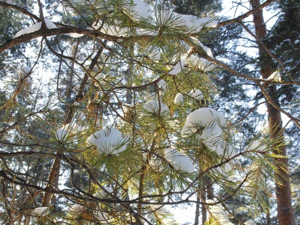В Сербишино и Быньги — к неизведанным святыням Урала - фото 3