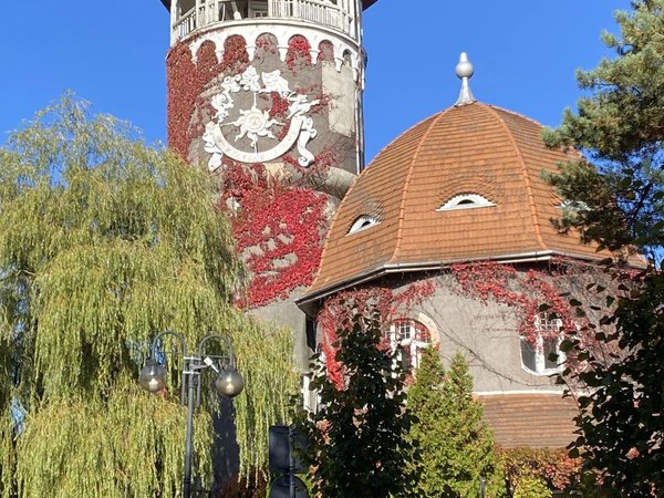 Балтийский вояж: Зеленоградск, Светлогорск и Шаакен Дорф - фото 2