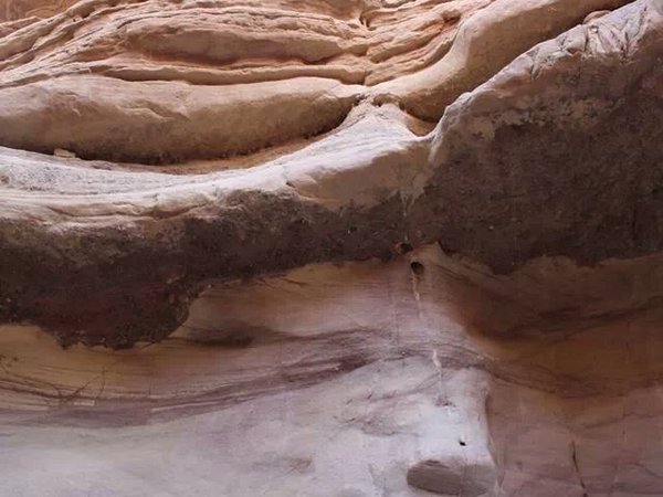 Эйлатское сафари - фото 3