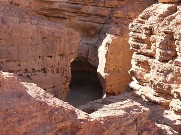 Эйлатское сафари - фото 2