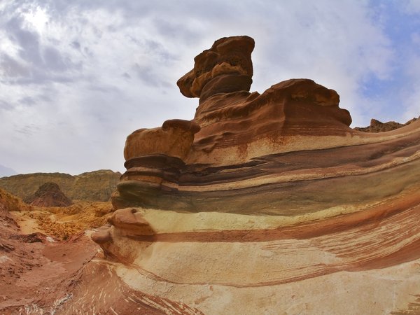 Эйлатское сафари - фото 1