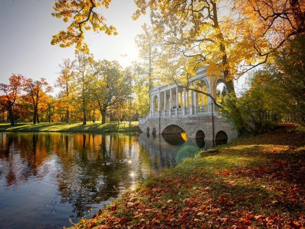 Из Петербурга в Пушкин — в Екатерининский и Александровский дворцы - фото 4