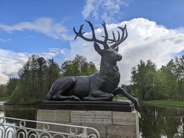 Неповторимое очарование Павловского парка: экскурсия на велосипеде - фото 2