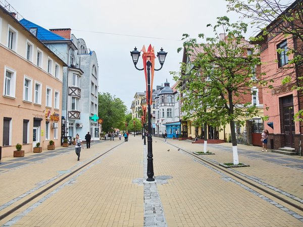 Куршская коса — уединение с природой - фото 3
