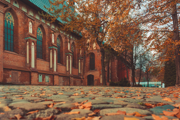 Фото - экскурсия: Прогулка вокруг Кафедрального собора