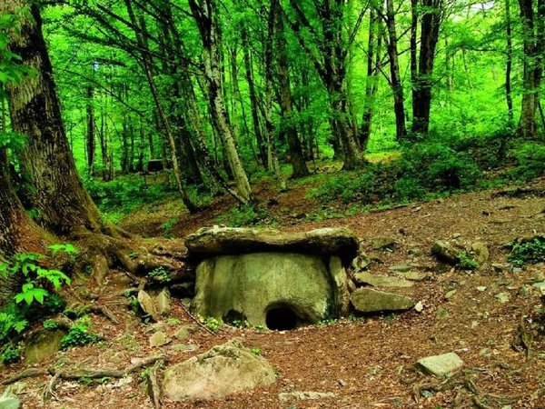 В Красную поляну с фотографом и мобильной съёмкой (из Сочи) - фото 3