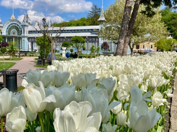 Из Кисловодска — по Пятигорску, Ессентукам и Железноводску - фото 3
