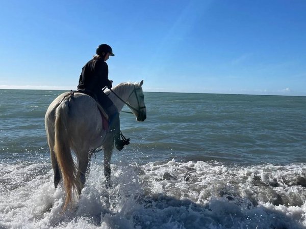 Конные прогулки для уверенных всадников: горы, море, чайные плантации и реликтовые леса Сочи - фото 1