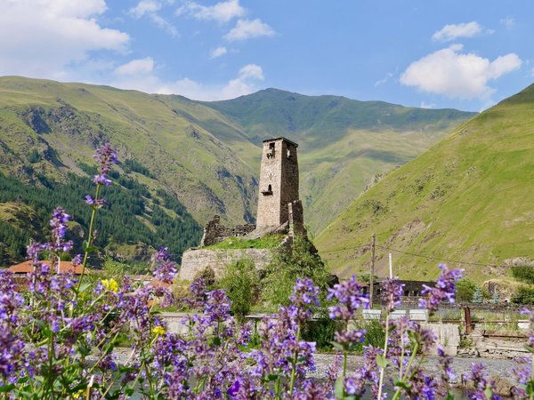 Вкусное путешествие по Грузии: много солнца, вина и гор - фото 3