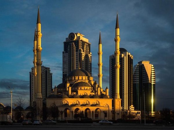 Величественная Чечня: Грозный, Шали, Аргун - фото 2