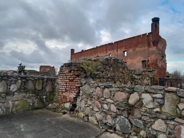 Калининград, замок и сыроварня (из Зеленоградска) - фото 4