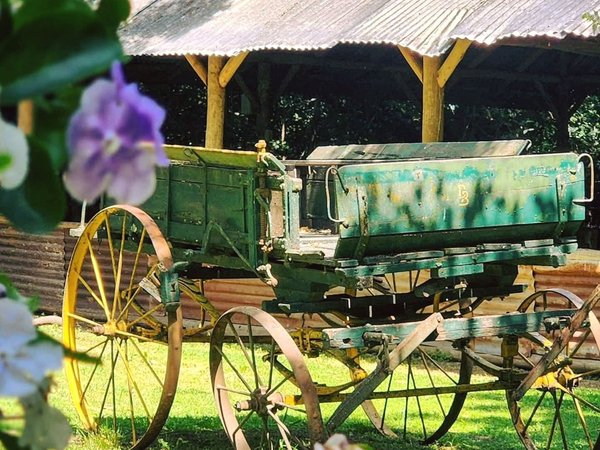 В гости к гаучо — хранителям традиций Аргентины (всё включено) - фото 4