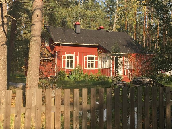 Карельский перешеек: царство сосен, озёр и камней - фото 4