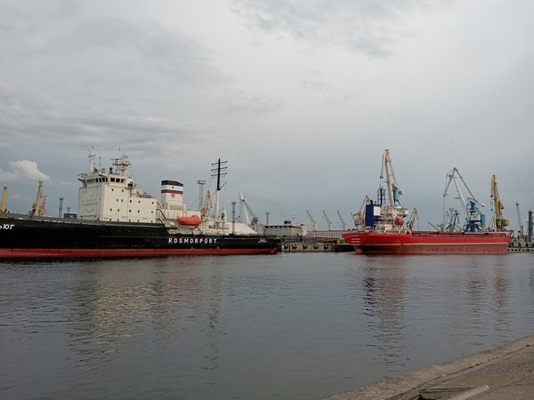 Пролетарский Петербург: Кировский район и Канонерский остров - фото 3