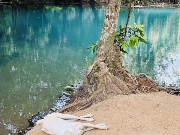 Авторское путешествие в нацпарк Рамсарских водных угодий - фото 4