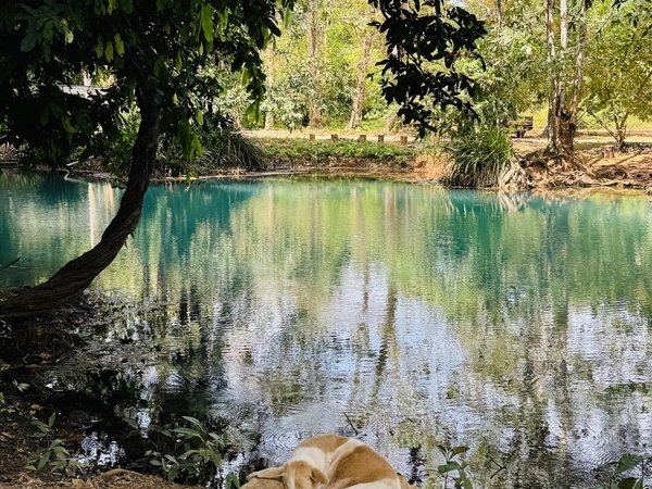 Авторское путешествие в нацпарк Рамсарских водных угодий - фото 2