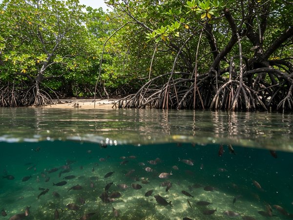 Авторское путешествие в нацпарк Рамсарских водных угодий - фото 1