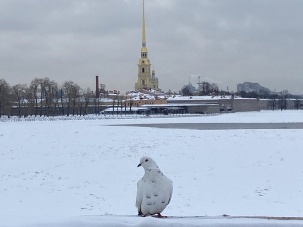 «Петропавловка» — начало всех начал - фото 2