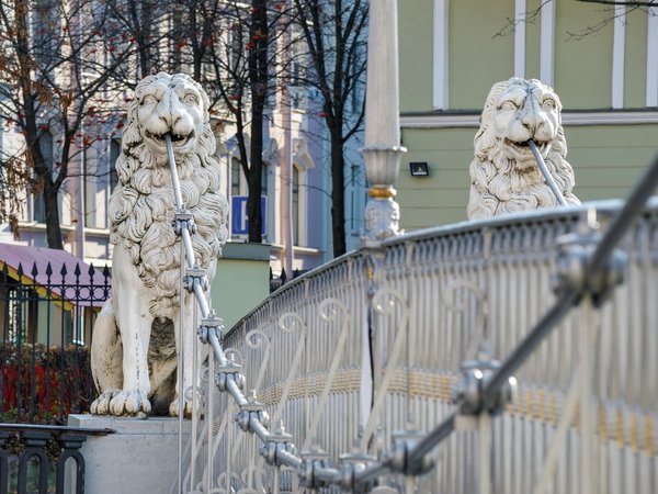 Мобильный квест в центре Петербурга «Завещание старой дамы»