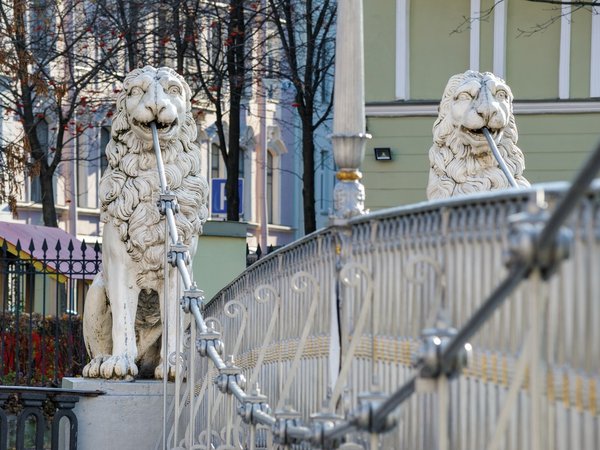 Мобильный квест в центре Петербурга «Завещание старой дамы» - фото 1