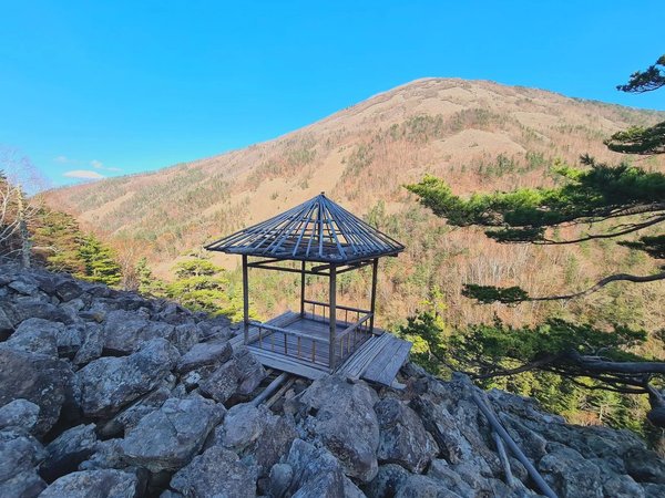 Познавательная прогулка по приморской тайге - фото 1