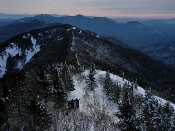 Познавательная прогулка по приморской тайге - фото 3