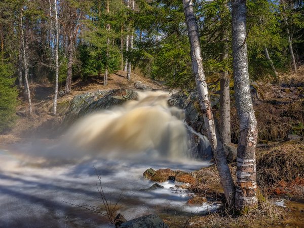 Таёжные водопады и финские ГЭС Северного Приладожья - фото 3