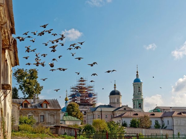 Оптина пустынь и Шамордино: культовые святыни Калужской области - фото 1