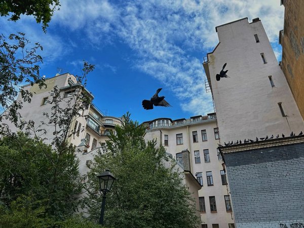 Истории и скандалы в стиле северный модерн - фото 3