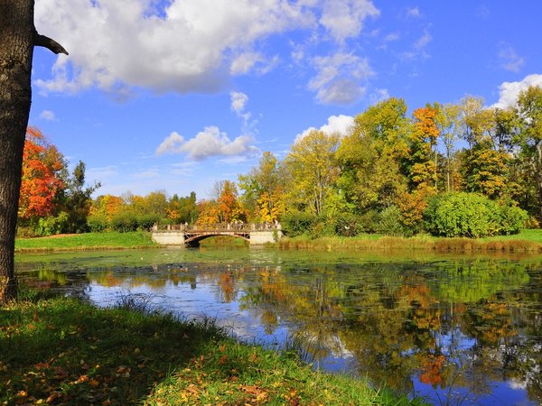 Неизвестное Царское Село - фото 3