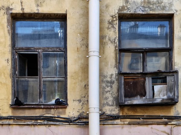Обратная сторона Петербурга - фото 4