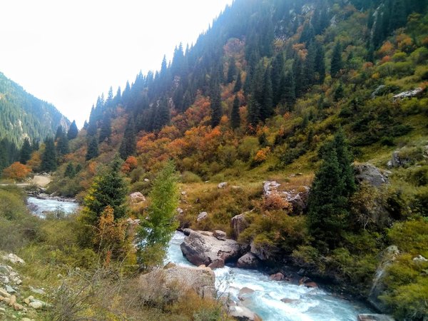 Все краски осени в горах Тянь-Шаня - фото 3