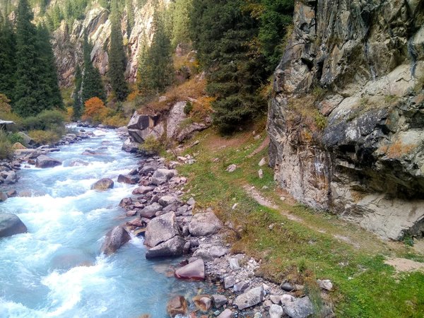 Все краски осени в горах Тянь-Шаня - фото 4
