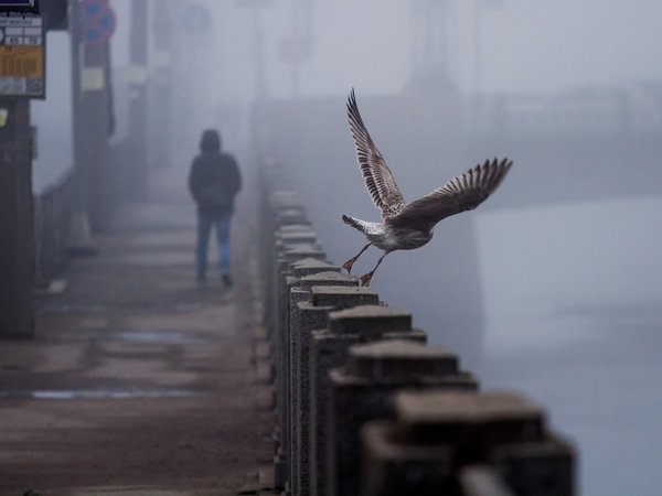 Мобильный квест в Петербурге «Зло Обводного канала» (16+)