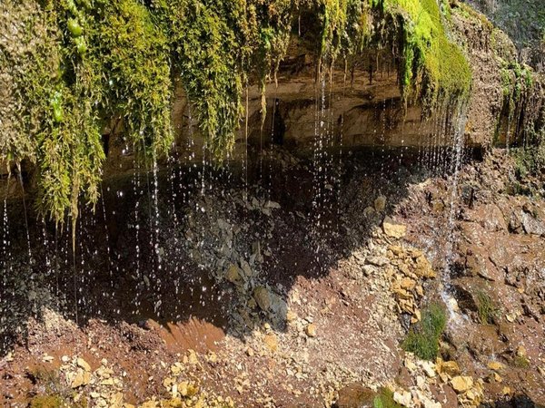 Гастрономическое путешествие из Уфы в Бижбуляк - фото 4