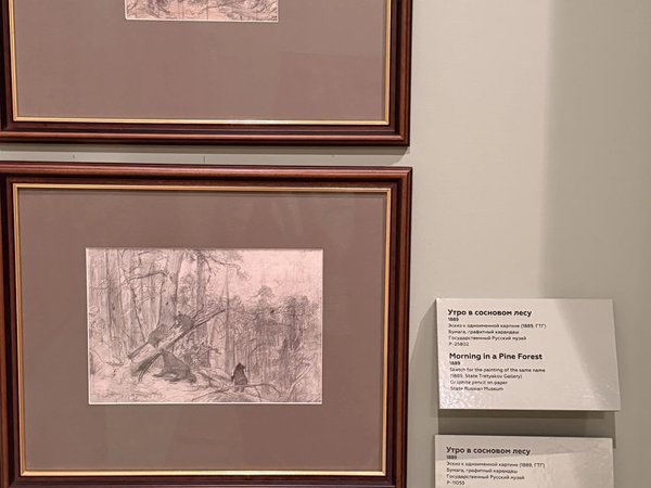 Иван Шишкин: выставка «Русский лес» с искусствоведом - фото 3