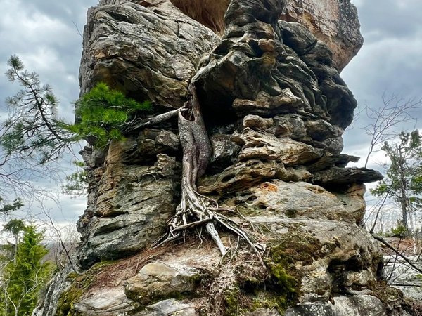 Каменный город — природный лабиринт: поездка из Перми - фото 3