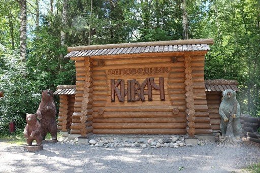 «Поет Кивач в бору сосновом»: путешествие к главному водопаду Карелии - фото 4