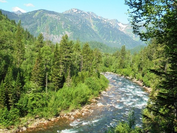 Скрытая жемчужина бурятских лесов: активный отдых с палатками (всё включено) - фото 4