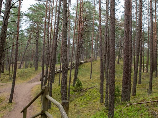 Природный парк Рагакапа: о рыбаках и поэтах Юрмалы - фото 2