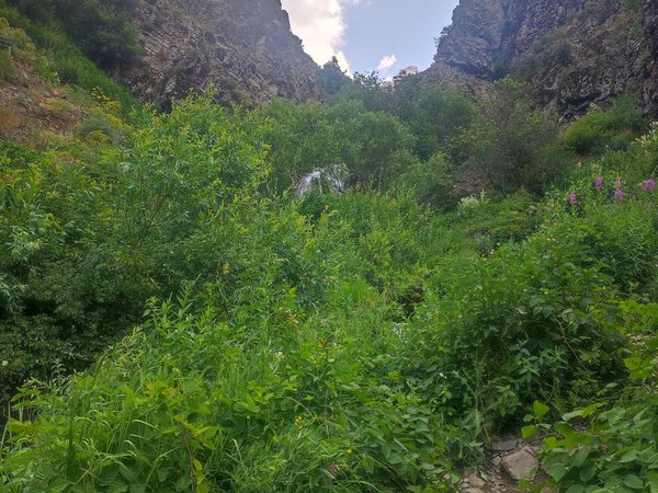 Водопады Угам-Чаткальского заповедника — из Ташкента - фото 2