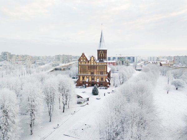 Балтийское побережье и Калининград за 4 дня - фото 4