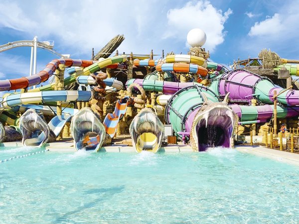 Билеты в аквапарк Yas Waterworld - фото 2