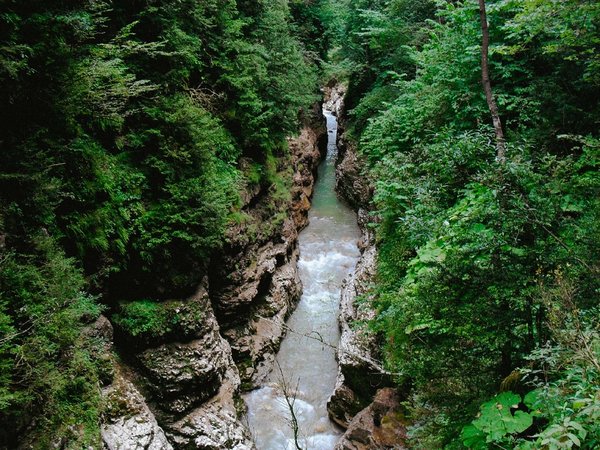 Гуамское ущелье + термальные источники - фото 3