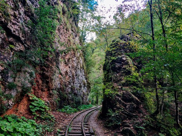 Гуамское ущелье + термальные источники - фото 2