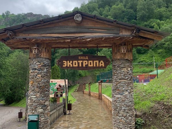 Семейные развлечения рядом с Кисловодском: альпаки, Долина нарзанов и конная прогулка - фото 3