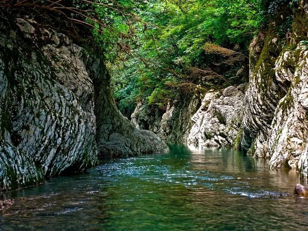 Пешком по следам динозавров в окрестностях Сочи - фото 2